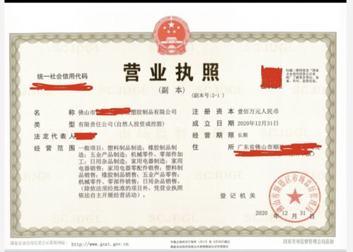 順德塑料制品公司新手指南 依托國(guó)內(nèi)貿(mào)易代理完成公司注冊(cè)全流程