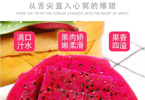 金都一號蜜寶紅心火龍果 現(xiàn)摘新鮮，甜蜜直達(dá)