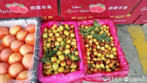 冬棗變“夏棗”？反季上市價高銷量漲，25元一斤仍受熱捧